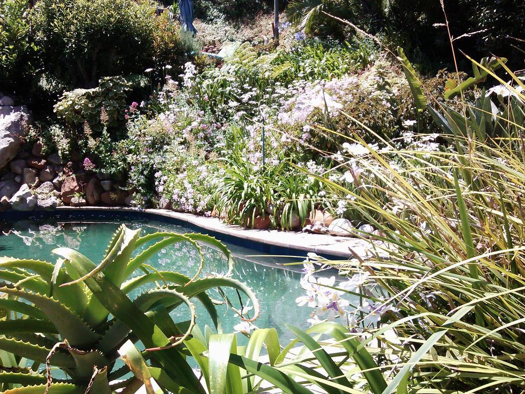Hout Bay Hideaway Hotel Екстериор снимка