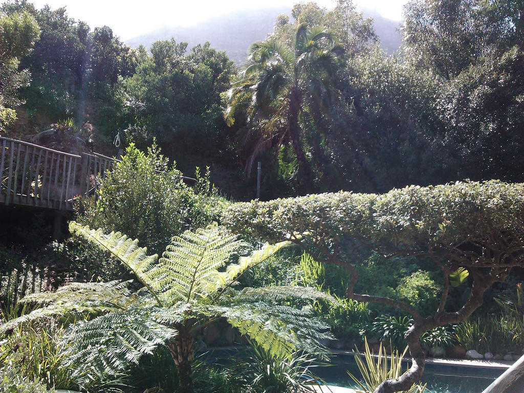 Hout Bay Hideaway Hotel Стая снимка